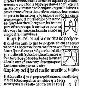 19. Frens per corregir els vicis dels cavalls, a la primera edició de la traducció castellana del 'Llibre de la menescalia' de Manuel Díez (Valladolid, Juan de Burgos, 1500, f. 29r).