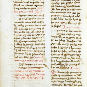 14. Inici de la guia per a l'examen dels menescals al 'Llibre de menescalia' del menescal Salvador Vila, fet a mitjan s. XV (Barcelona, Biblioteca de Catalunya, ms. 423, f. 57v).