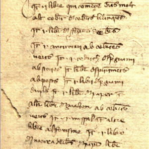 9. Inventari de la biblioteca de Pere Ritxard, cirurgià de Santa Coloma de Queralt, fet l'any 1363 (Montblanc, Arxiu Comarcal de la Conca de Barberà, Notaries de Santa Coloma de Queralt, vol. 3594.3, f. 65r)